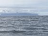 IMG_1773