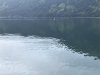 IMG_1782