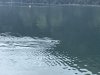 IMG_1784