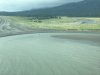 We have a bear in the river!!!!