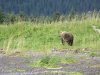 IMG_6296