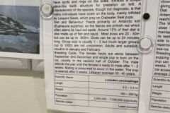 Hydruga Rocks and Recess Cove