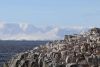 Such an iconic Antarctica view!!!