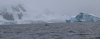 Saw 4 Humpback's