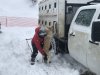 Ed putting Splash back in the dog truck to stay warm and relax