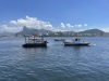 IMG_7278