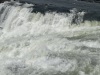 IMG_6854