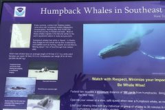 Juneau, Lynn Canal and Haines