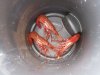 But not so good on the prawns:((((
