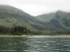IMG_8203