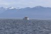 Views of Koninonia coming out of Port Frederick into Icy Strait