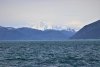 IMG_8871-2