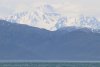 IMG_8876