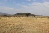 We found the big migration herds again.....such quantities!!