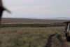 But then we got a call around 6pm that the herd is getting ready to cross!!!