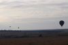 Oh no.....these balloons are heading right for the herds and flying too low