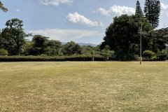 Kenya Maasai Mara Migration Best-of-Best Days 1-4