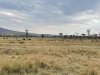 IMG_0251