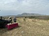 Breakfast on the savannah