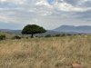 Iconic African scene