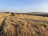 IMG_0331