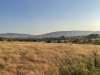 Early morning in the Mara