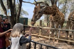 Kenya Maasai Mara Migration Days 1-4