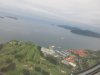 That is Sutera marina.....can you see Mystic??