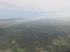 See all the planted palm oil trees!!