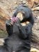 Eating some kind of yam...yummers!!