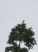 IMG_3094-e1506314815250