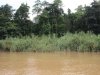 They crossed the river here