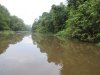 Muddy river from all the rain!!