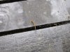 Look how they crawl