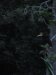 IMG_3285-e1506314875931