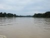 See all the logs and debris in the water