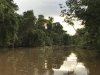 One of many tributaries off the main river