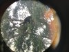 Looking through the binoculars!