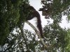 IMG_6286-e1506314590705