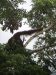 See the Eagle......what a picture!!!!