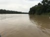 River scenes on our hunt for the Borneo Pygmy elephant....No 4 on the Big Five