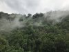 Hill side at Gomantong Cave