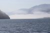 Looks like more fog ahead!!