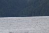 On our way to Bottleneck Inlet in Finlayson Channel we found lots of fish farms!!