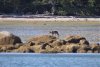 IMG_9698-2