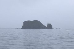 Kodiak and Kitoi; More Bears!!!