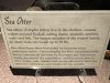 IMG_1140