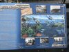 IMG_1153
