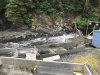 IMG_1194