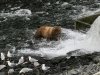 IMG_1516
